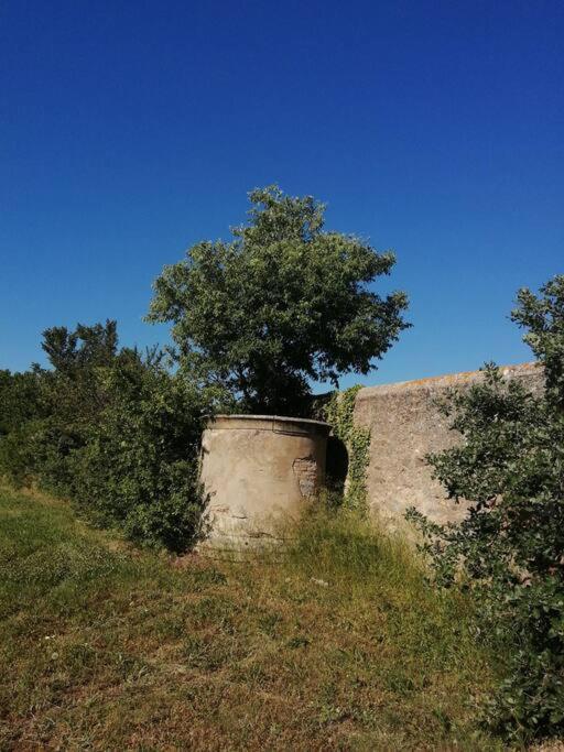 Le Soleil D Eugenie Appartement Dans Residence Avec Piscine Commune Pres De Carcassonne Olonzac Esterno foto