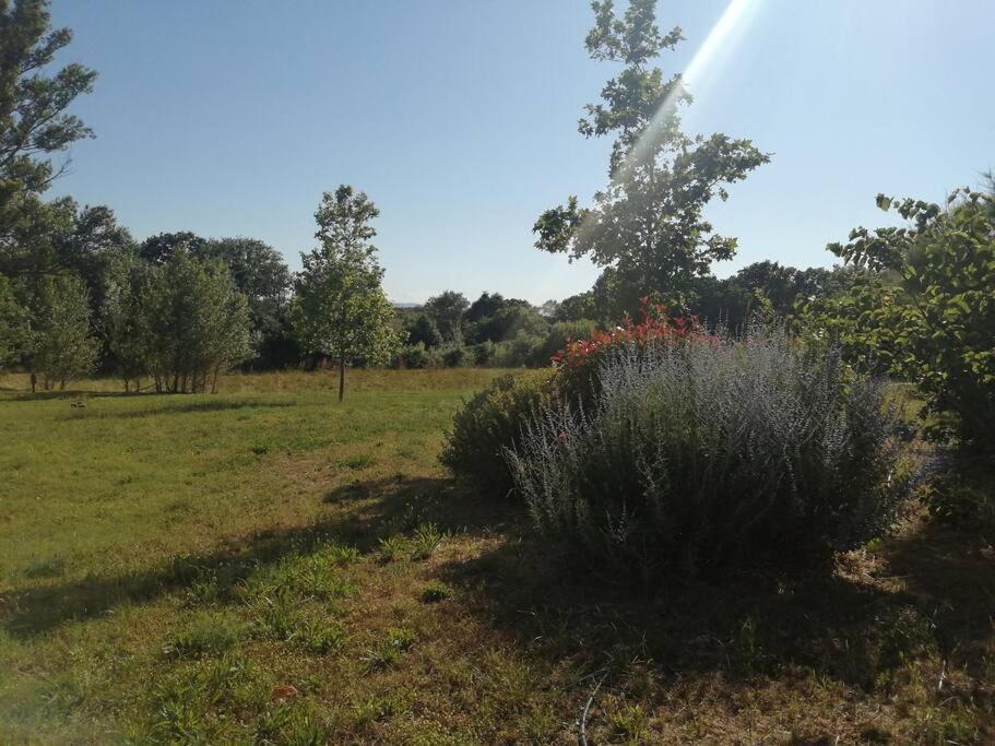 Le Soleil D Eugenie Appartement Dans Residence Avec Piscine Commune Pres De Carcassonne Olonzac Esterno foto