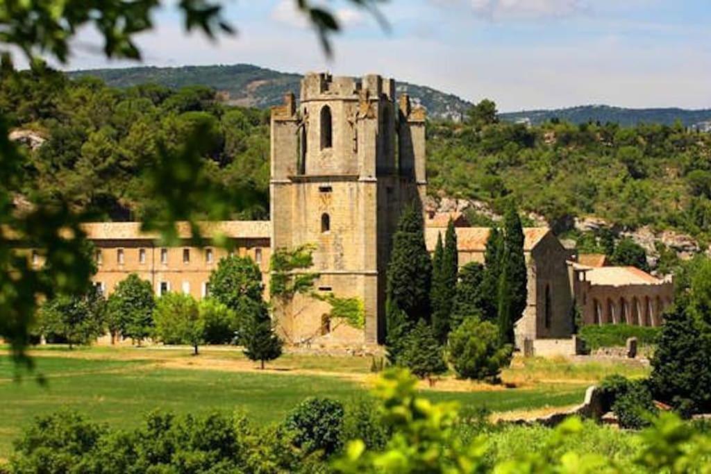 Le Soleil D Eugenie Appartement Dans Residence Avec Piscine Commune Pres De Carcassonne Olonzac Esterno foto