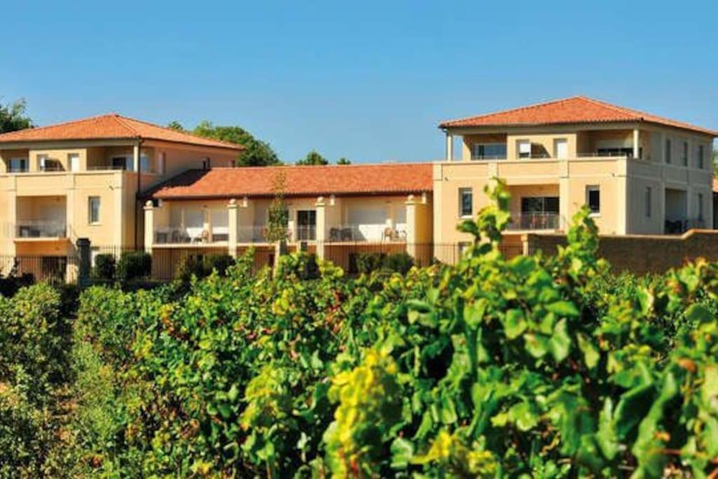 Le Soleil D Eugenie Appartement Dans Residence Avec Piscine Commune Pres De Carcassonne Olonzac Esterno foto