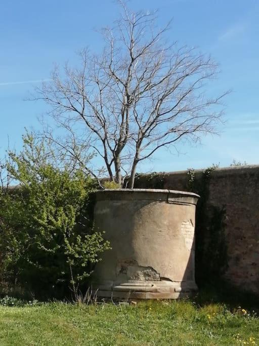 Le Soleil D Eugenie Appartement Dans Residence Avec Piscine Commune Pres De Carcassonne Olonzac Esterno foto