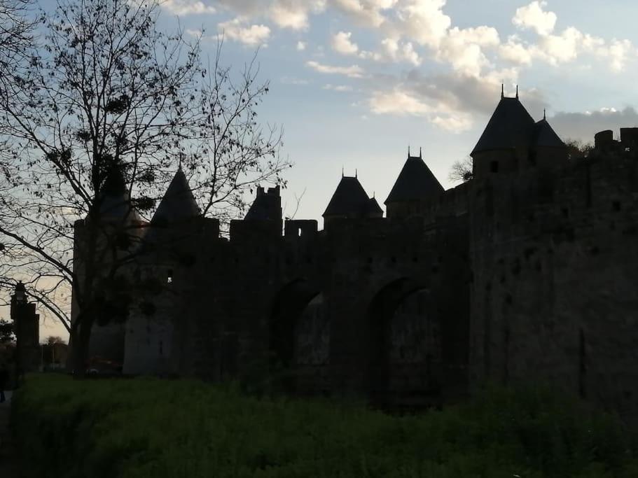 Le Soleil D Eugenie Appartement Dans Residence Avec Piscine Commune Pres De Carcassonne Olonzac Esterno foto