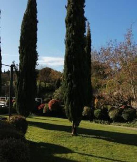 Le Soleil D Eugenie Appartement Dans Residence Avec Piscine Commune Pres De Carcassonne Olonzac Esterno foto